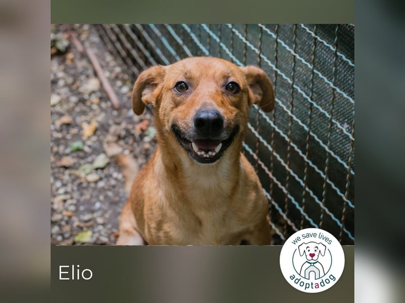 Elio: Gemeinsam statt einsam