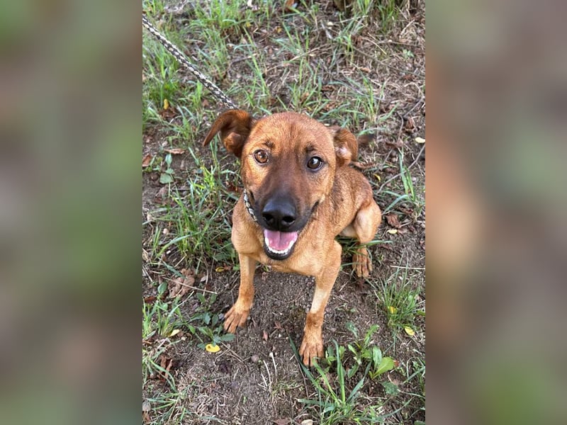 Christoffer: Sucht ein Zuhause