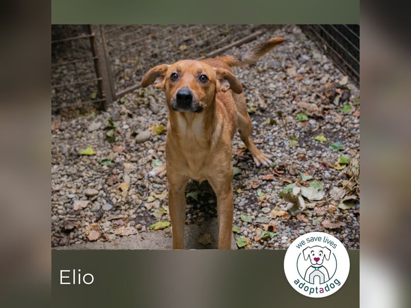 Elio: Gemeinsam statt einsam