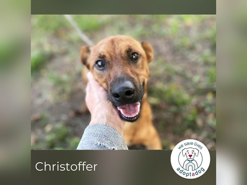 Christoffer: Sucht ein Zuhause