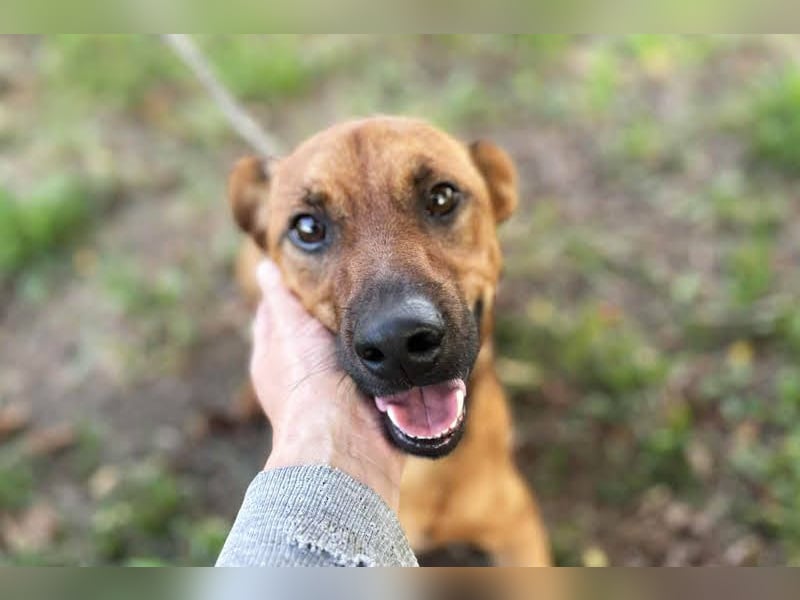 Christoffer: Energiebündel mit großem Herz