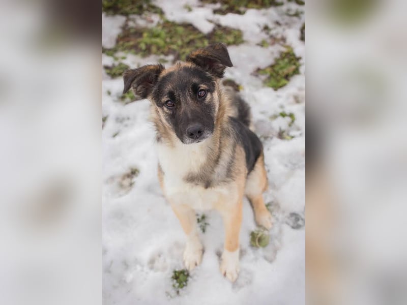 Suki: Name ist Programm - zum Lieben