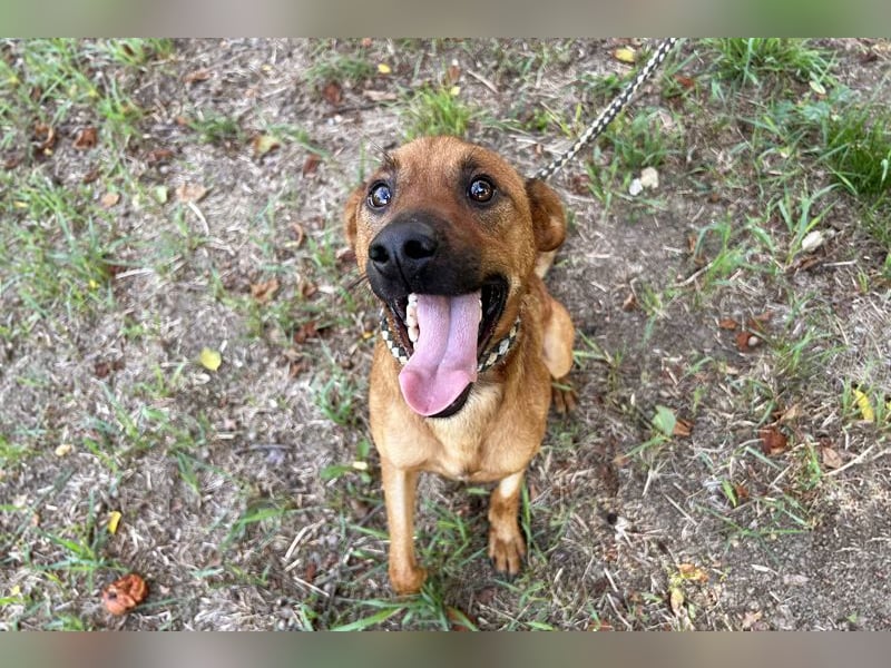 Christoffer: Sucht ein Zuhause