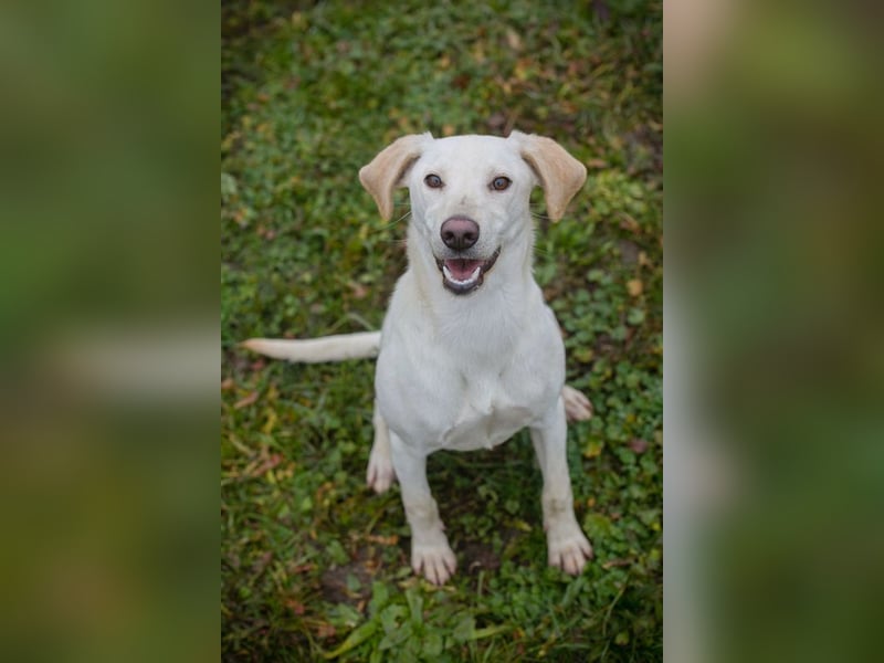 Frieda sucht ein Zuhause