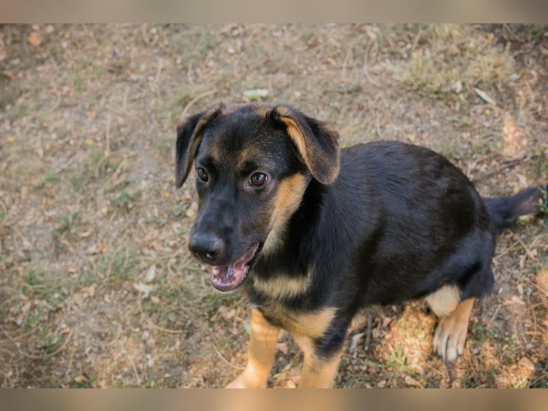 Mitja: Neugierige Frohnatur