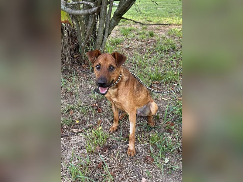 Christoffer: Energiebündel mit großem Herz