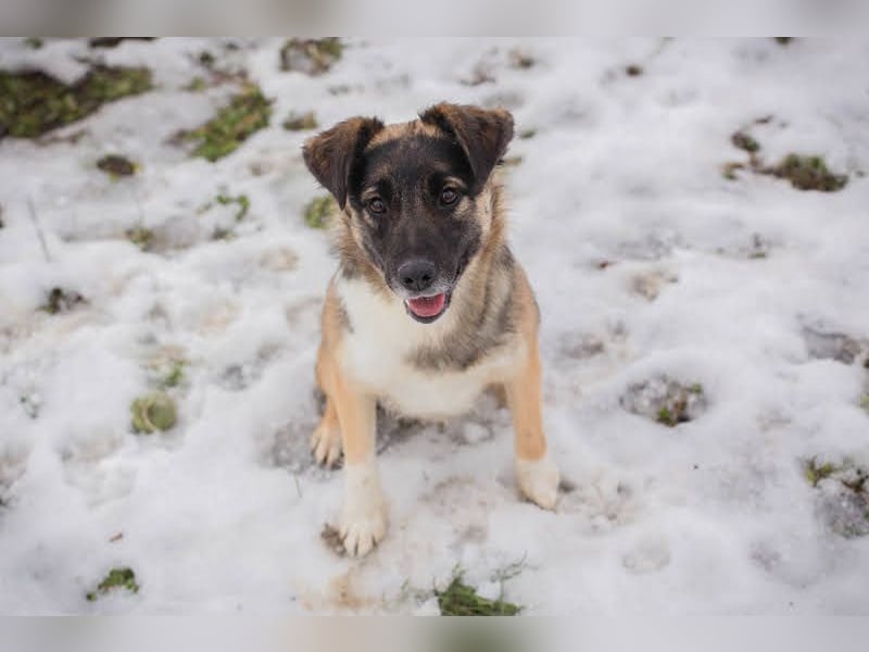 Suki: Name ist Programm - zum Lieben