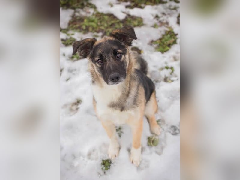 Suki: Name ist Programm - zum Lieben