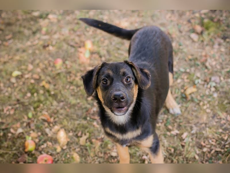 Mitja: Neugierige Frohnatur