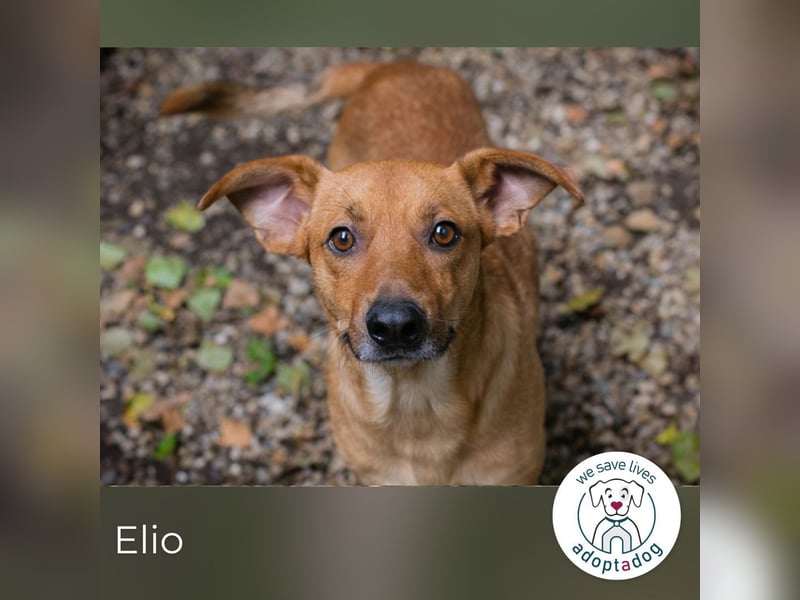 Elio: Gemeinsam statt einsam