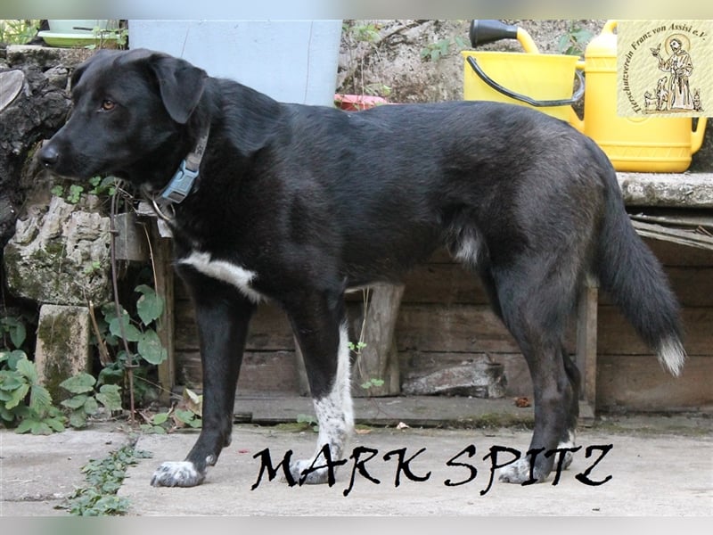 Besonderer Marc Spitz