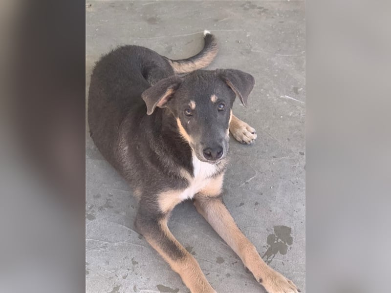 Dakota möchte nach Hause!