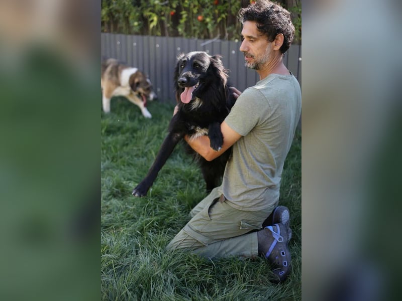 Batman - ist ein lebensfroher Hund