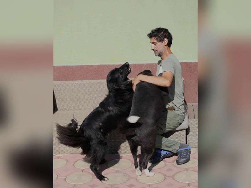Batman - ist ein lebensfroher Hund