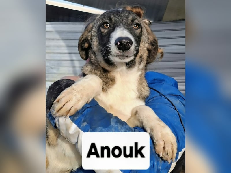 Anouk - aus Sascut