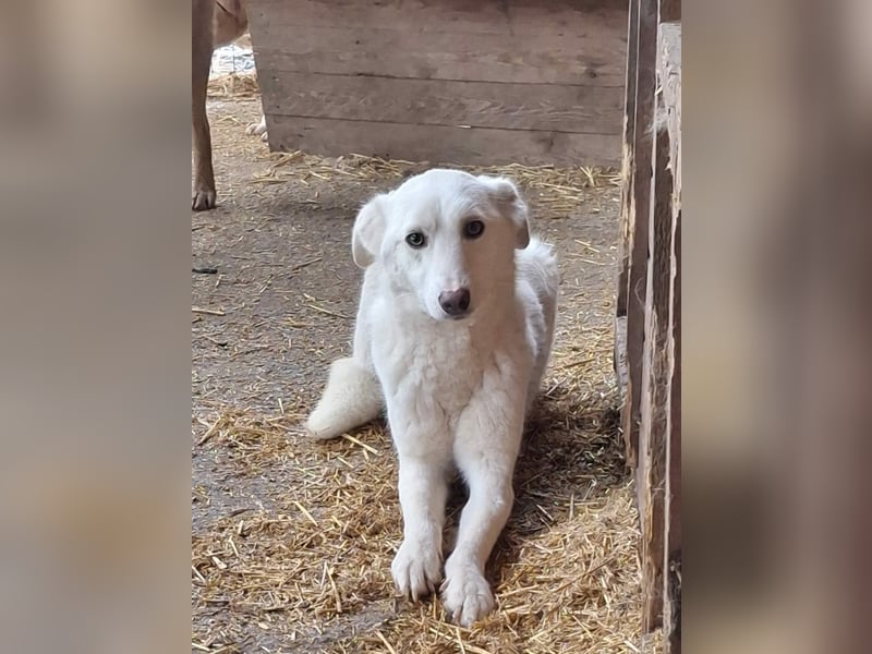 Maribel - aus Mangalia