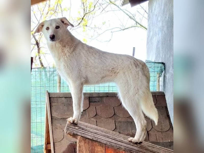 Maribel - aus Mangalia