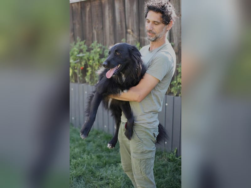 Batman - ist ein lebensfroher Hund