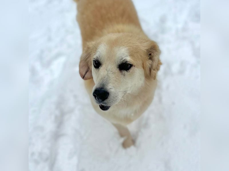 Wurstl - ist sehr zutraulich