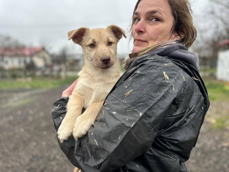 Joey - aus Mangalia