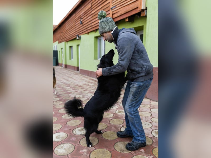 Batman - ist ein lebensfroher Hund