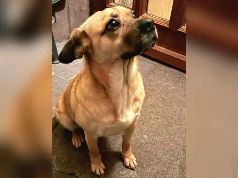 Ebba - kleine Herzensdame