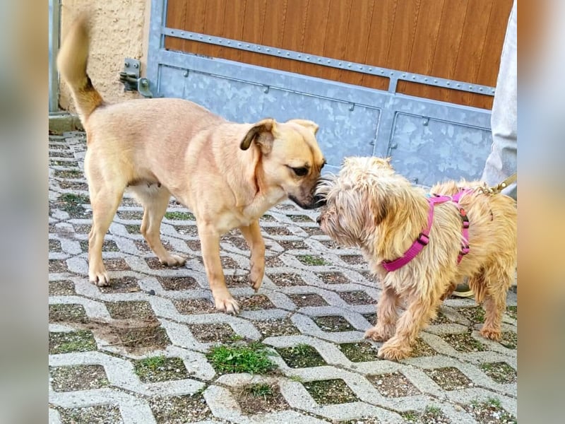 Ebba - kleine Herzensdame