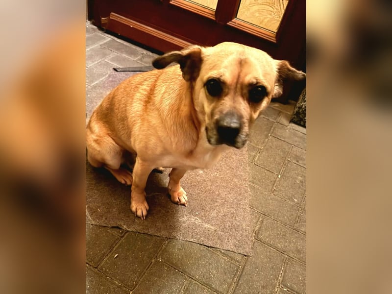 Ebba - kleine Herzensdame