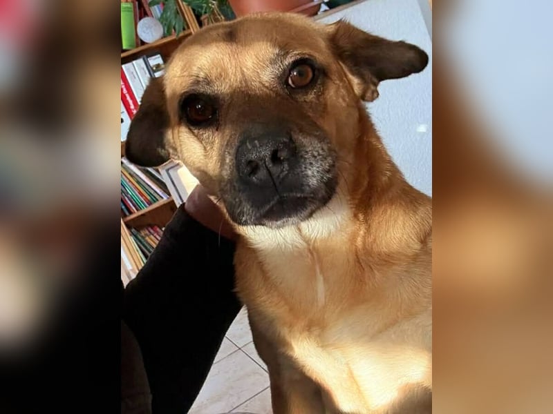 Ebba - kleine Herzensdame