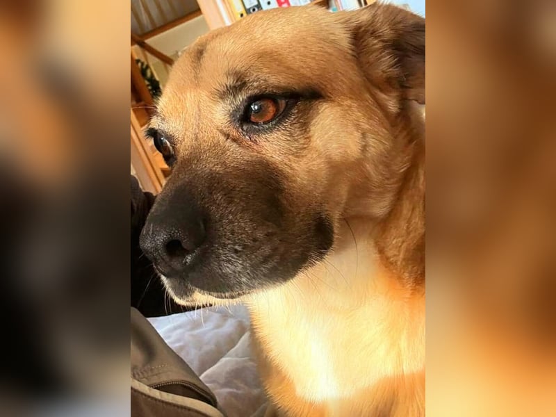 Ebba - kleine Herzensdame