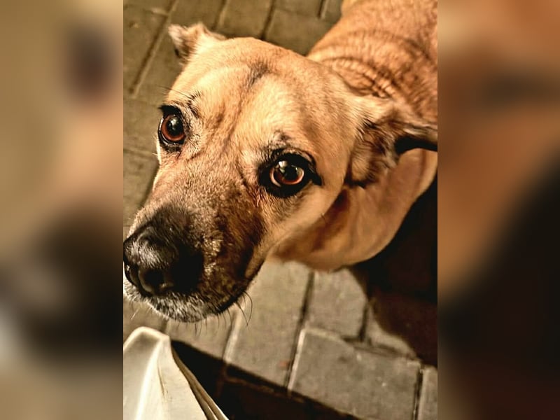 Ebba - kleine Herzensdame