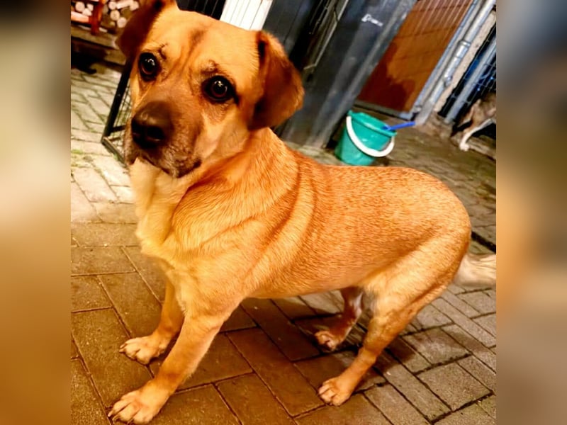 Ebba - kleine Herzensdame