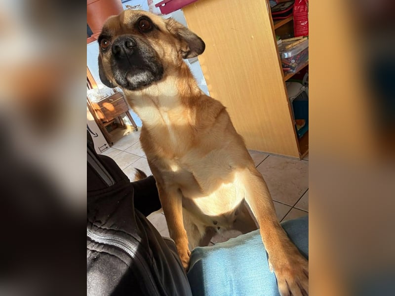 Ebba - kleine Herzensdame