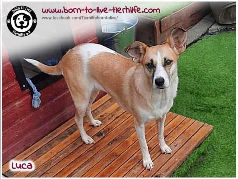 Hübsche Luca / Mila sucht einfühlsame, erfahrene Menschen