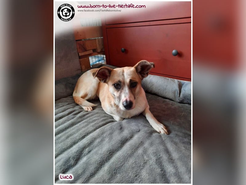 Hübsche Luca / Mila sucht einfühlsame, erfahrene Menschen