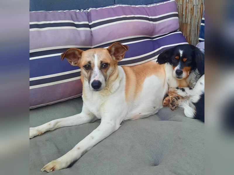 Hübsche Luca / Mila sucht einfühlsame, erfahrene Menschen