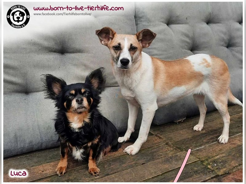 Hübsche Luca / Mila sucht einfühlsame, erfahrene Menschen