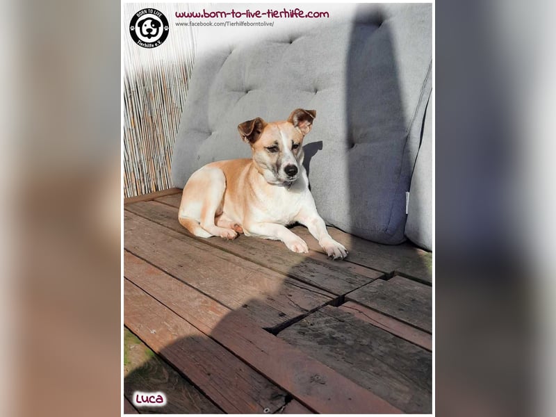 Hübsche Luca / Mila sucht einfühlsame, erfahrene Menschen