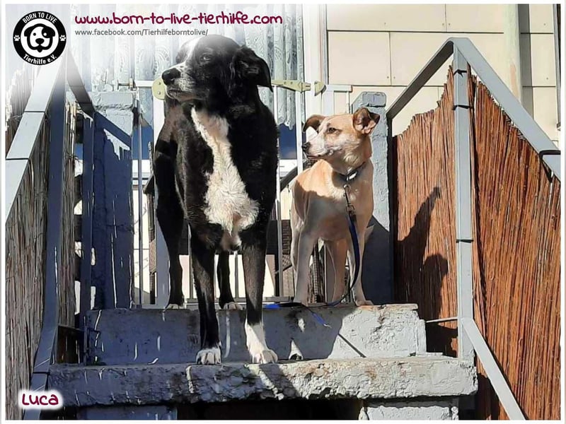 Hübsche Luca / Mila sucht einfühlsame, erfahrene Menschen