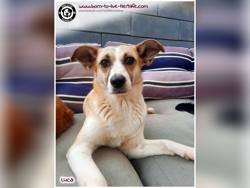 Hübsche Luca / Mila sucht einfühlsame, erfahrene Menschen