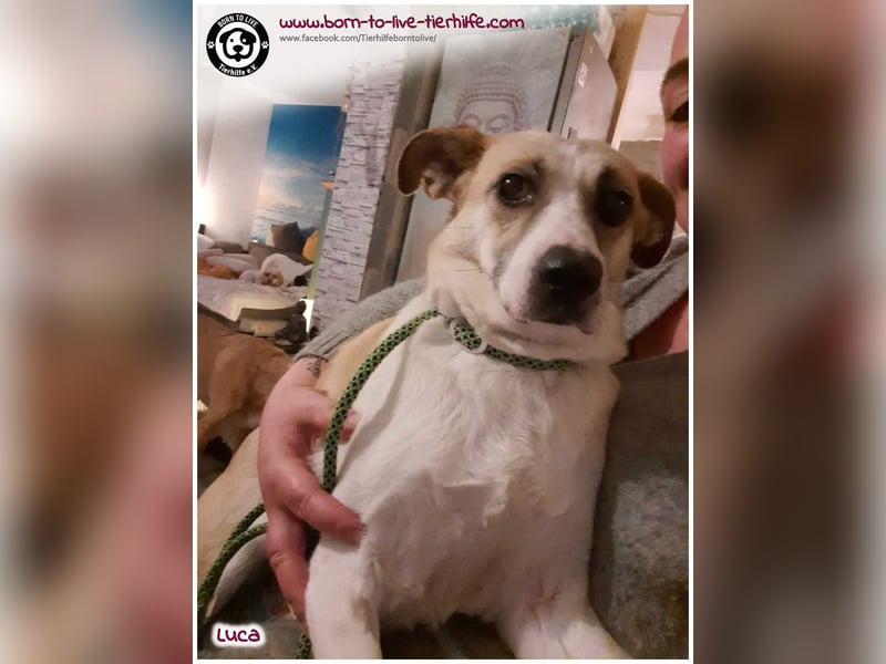 Hübsche Luca / Mila sucht einfühlsame, erfahrene Menschen