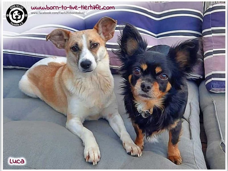 Hübsche Luca / Mila sucht einfühlsame, erfahrene Menschen