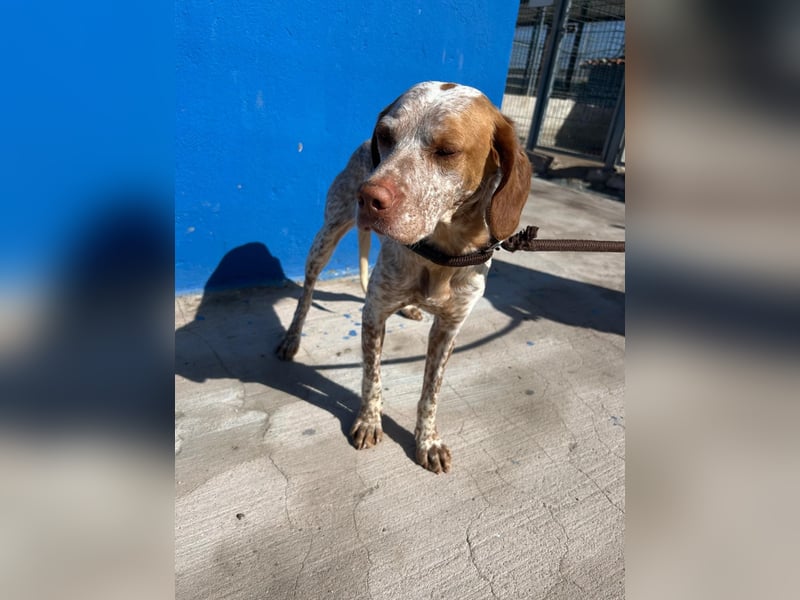 Tinetta wünscht sich ein sportliches Zuhause