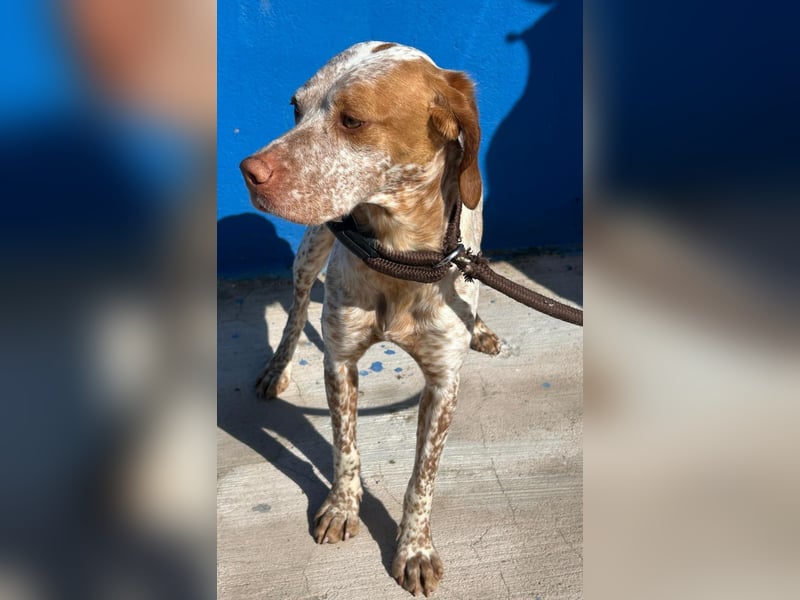 Tinetta wünscht sich ein sportliches Zuhause