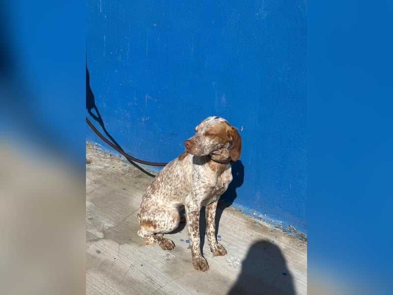 Tinetta wünscht sich ein sportliches Zuhause