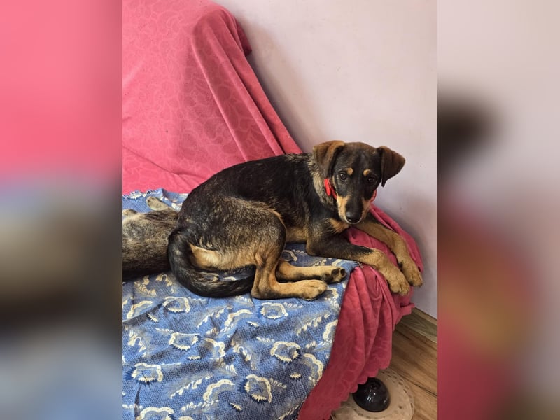 Nuri sucht ihr Zuhause