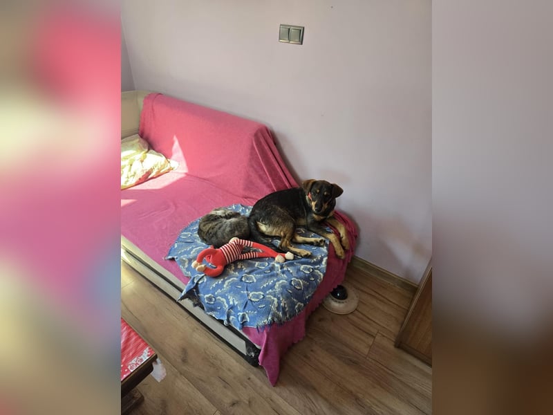 Nuri sucht ihr Zuhause