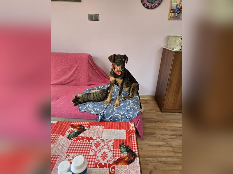 Nuri sucht ihr Zuhause