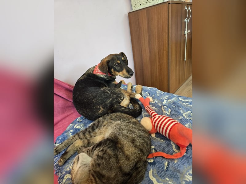 Nuri sucht ihr Zuhause
