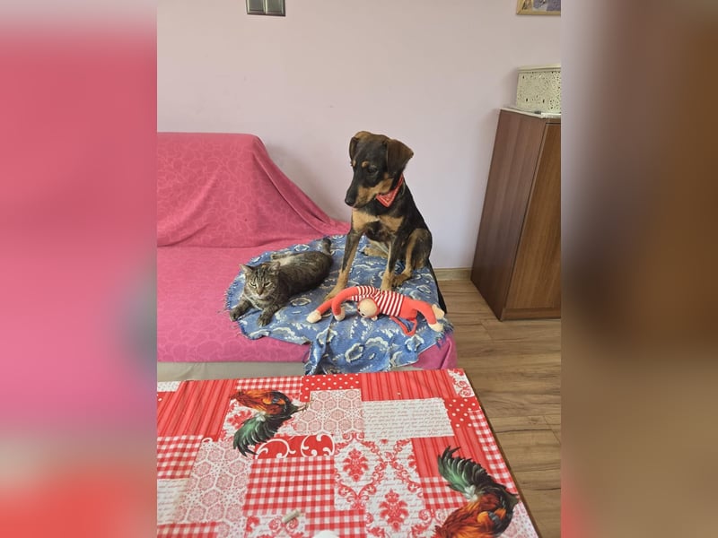 Nuri sucht ihr Zuhause